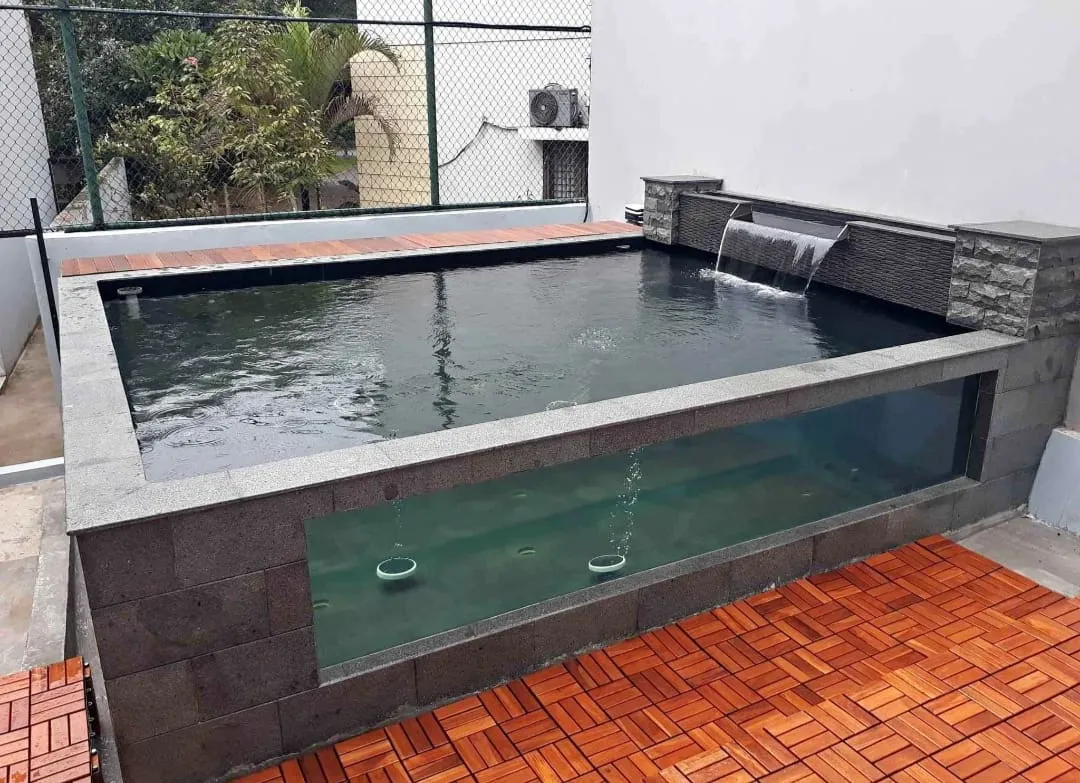 jasa tukang kolam koi